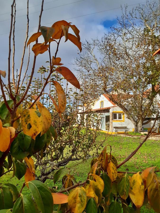 Quintal Do Freixo - Country House Sobral de Monte Agraço Kültér fotó